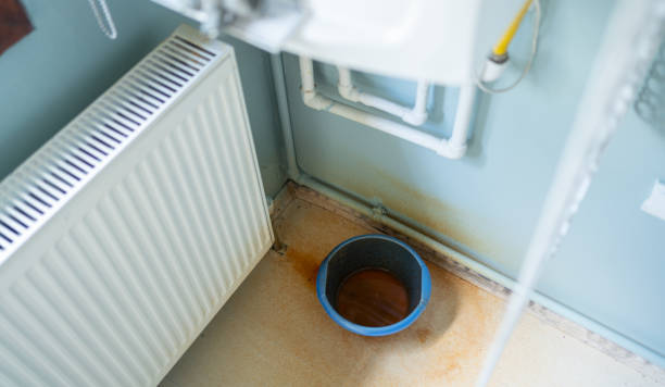 Best Carpet water damage restoration  in Genesee, ID