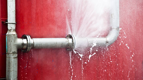 Best Water damage contractors near me  in Genesee, ID